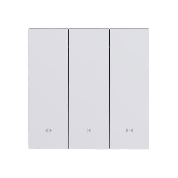 CX20-M1 1 Motor Smart Curtain Switch