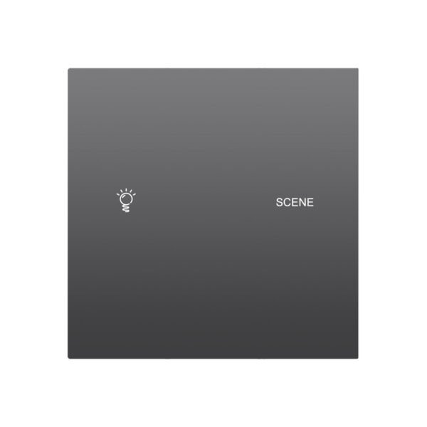 CX20-G1S1 1 Gang + 1 Scene Smart Light Switch