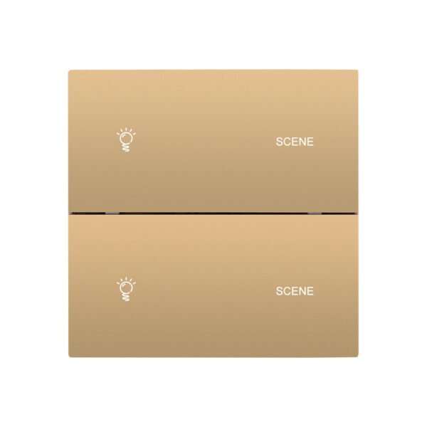CX20-G2S2 2 Gang + 2 Scene Smart Light Switch