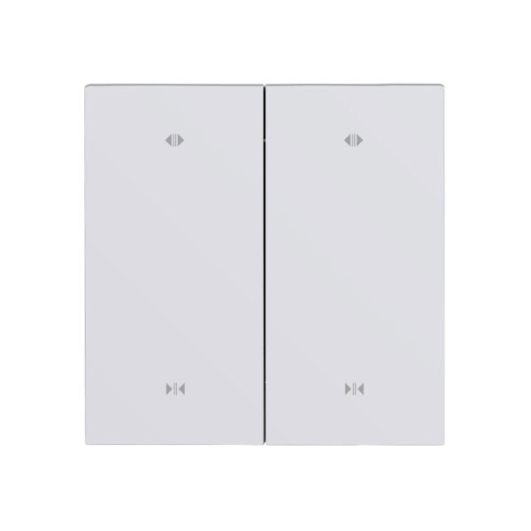 CX20-M2 2 Motor Smart Curtain Switch