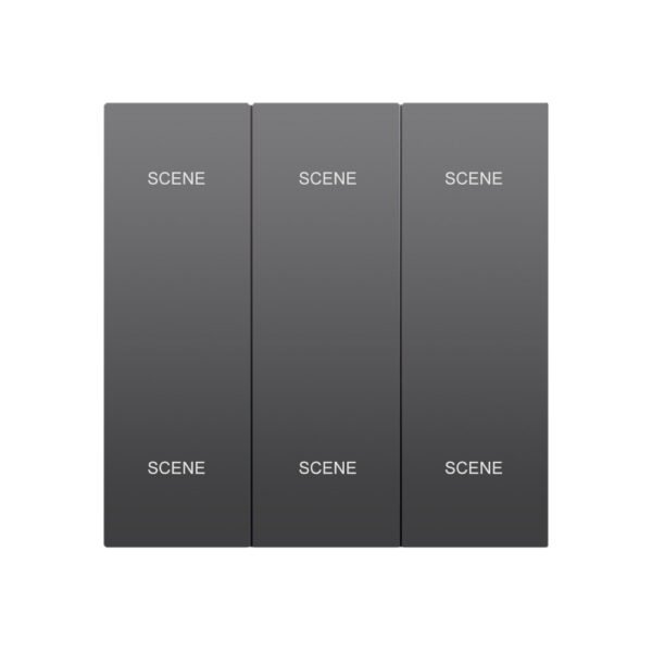 CX20-S6 6 Scene Smart Scene Switch