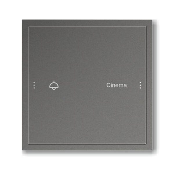 CX98-S2 2 Scene Smart Scene Switch